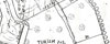 Plants: image 7 0f 33 thumb